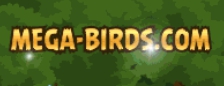 Mega-birds